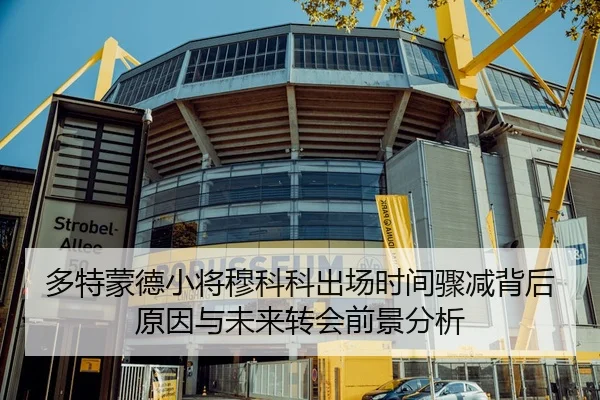 多特蒙德小将穆科科出场时间骤减背后原因与未来转会前景分析